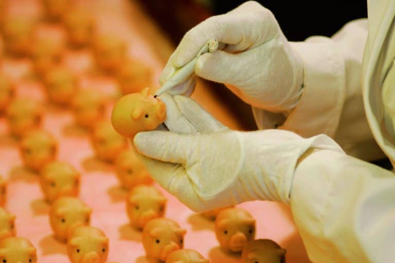 Marzipan Schweinchen aus Lübeck