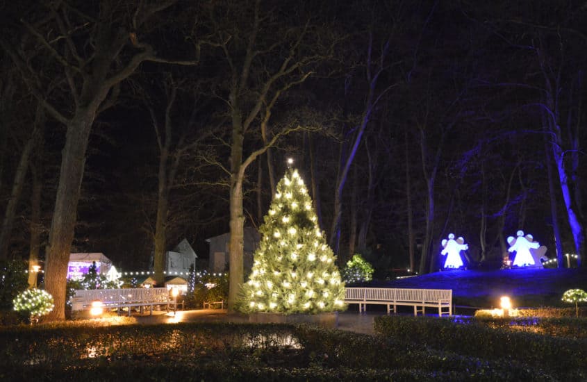 Beleuchteter Christbaum auf dem Binzer Weihnachtsmarkt