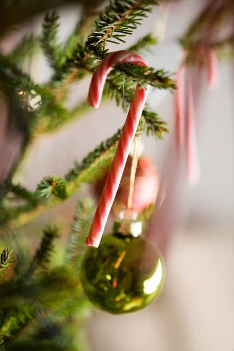 Zuckerstange schmückt Weihnachtsbaum in den USA