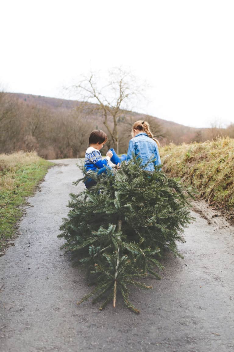 Geschwister ziehen Weihnachtsbaum