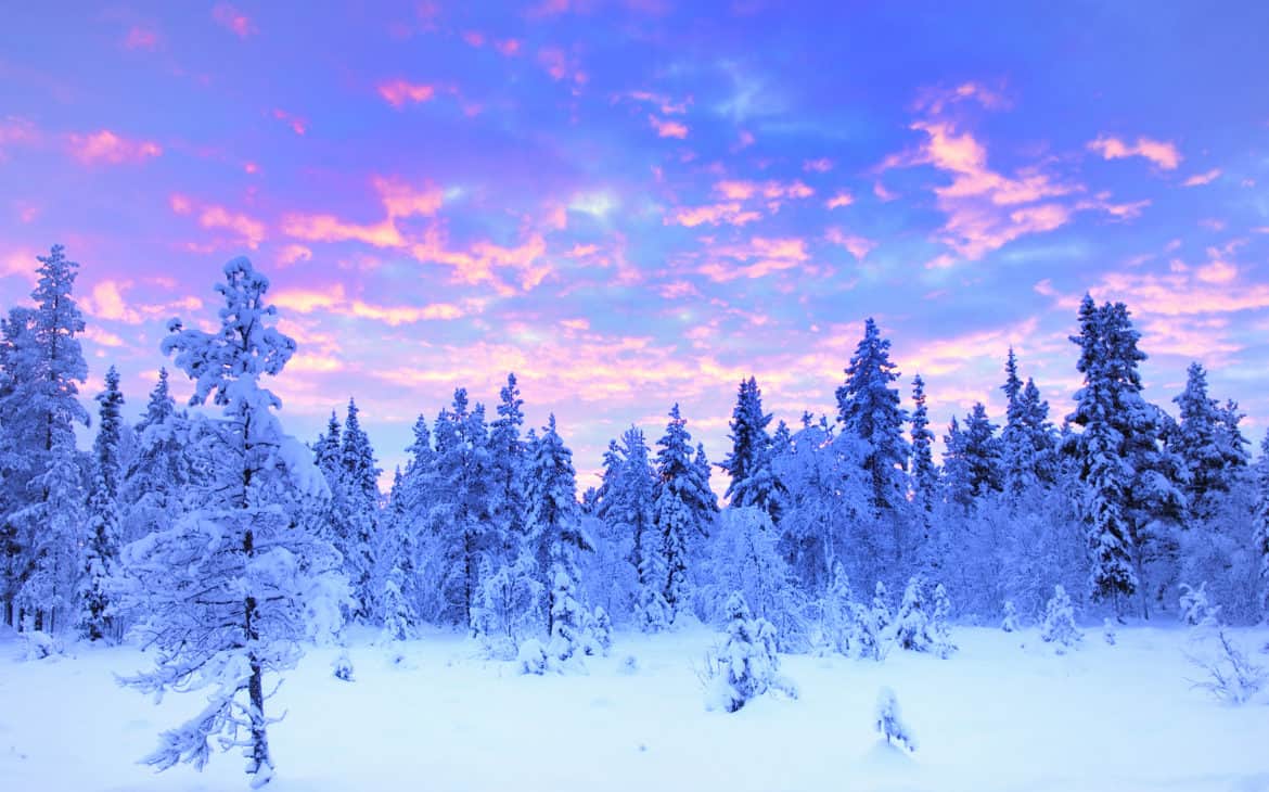 Pastellfarbener Himmel über schneebedeckten Bäumen in Norwegen