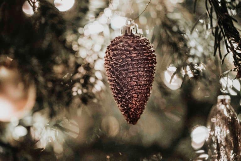 Jasmin Schuler/Unsplash.com