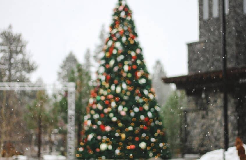 Geschmückter Weihnachtsbaum