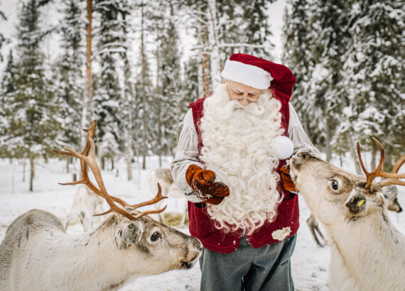 Weihnachtsmann streichelt Rentiere in Winterlandschaften von Rovaniemi in Finnland