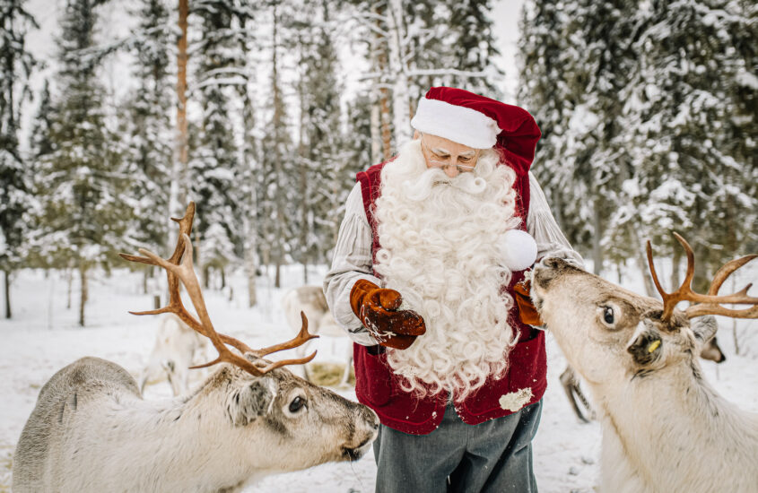 Weihnachtsmann streichelt Rentiere in Winterlandschaften von Rovaniemi in Finnland