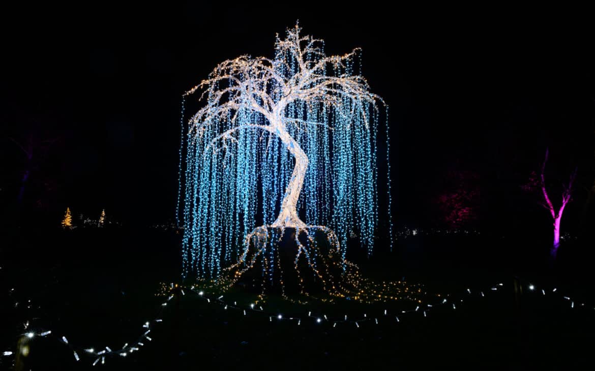 Lichtfestival „Lumagica - Frozen Kingdom“ im Schlosspark von Schloss Brundlund bei Aabenraa