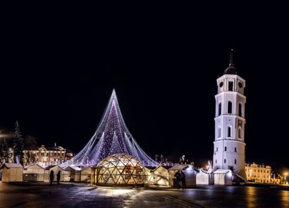 Festlich geschmückter Weihnachtsbaum auf dem Domplatz von Vilnius 201