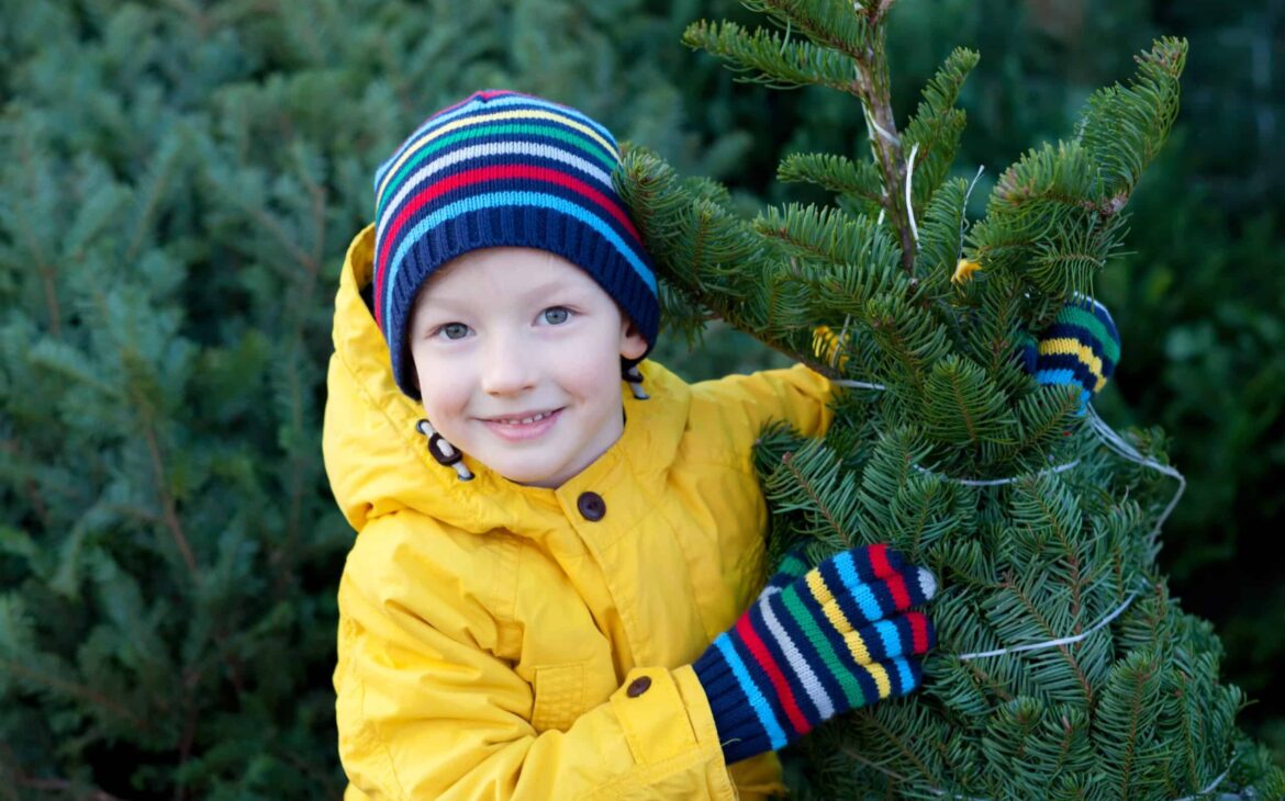 Kind hält Tannenbaum beim Baumkauf