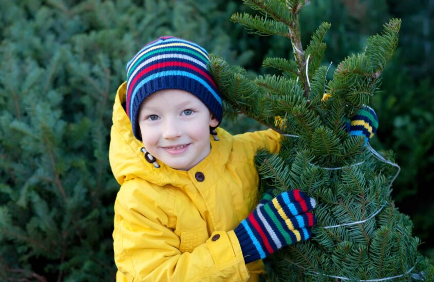 Kind hält Tannenbaum beim Baumkauf