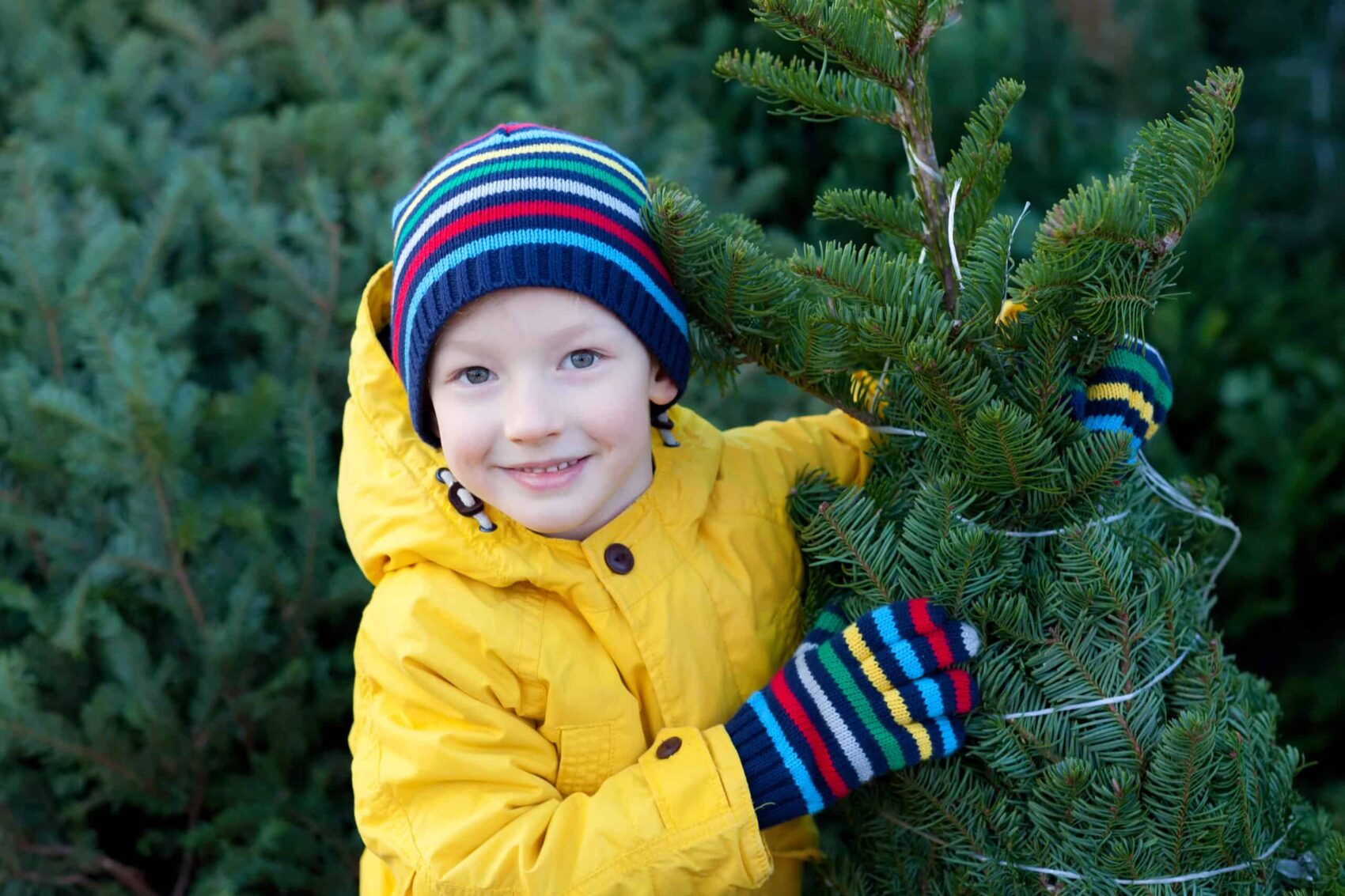 Kind hält Tannenbaum beim Baumkauf