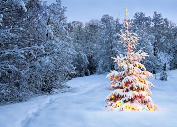 Leuchtender Tannenbaum mit Lichterketten in Schneelandschaft