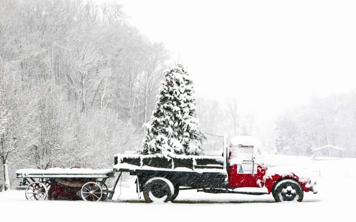 Weihnachtsbaumtransport mit Schneelandschaft