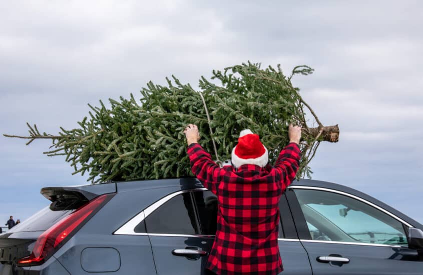 Mann in karriertem Hemd und Weihnachtsmütze befestigt einen Weihnachtsbaum auf einem Auto