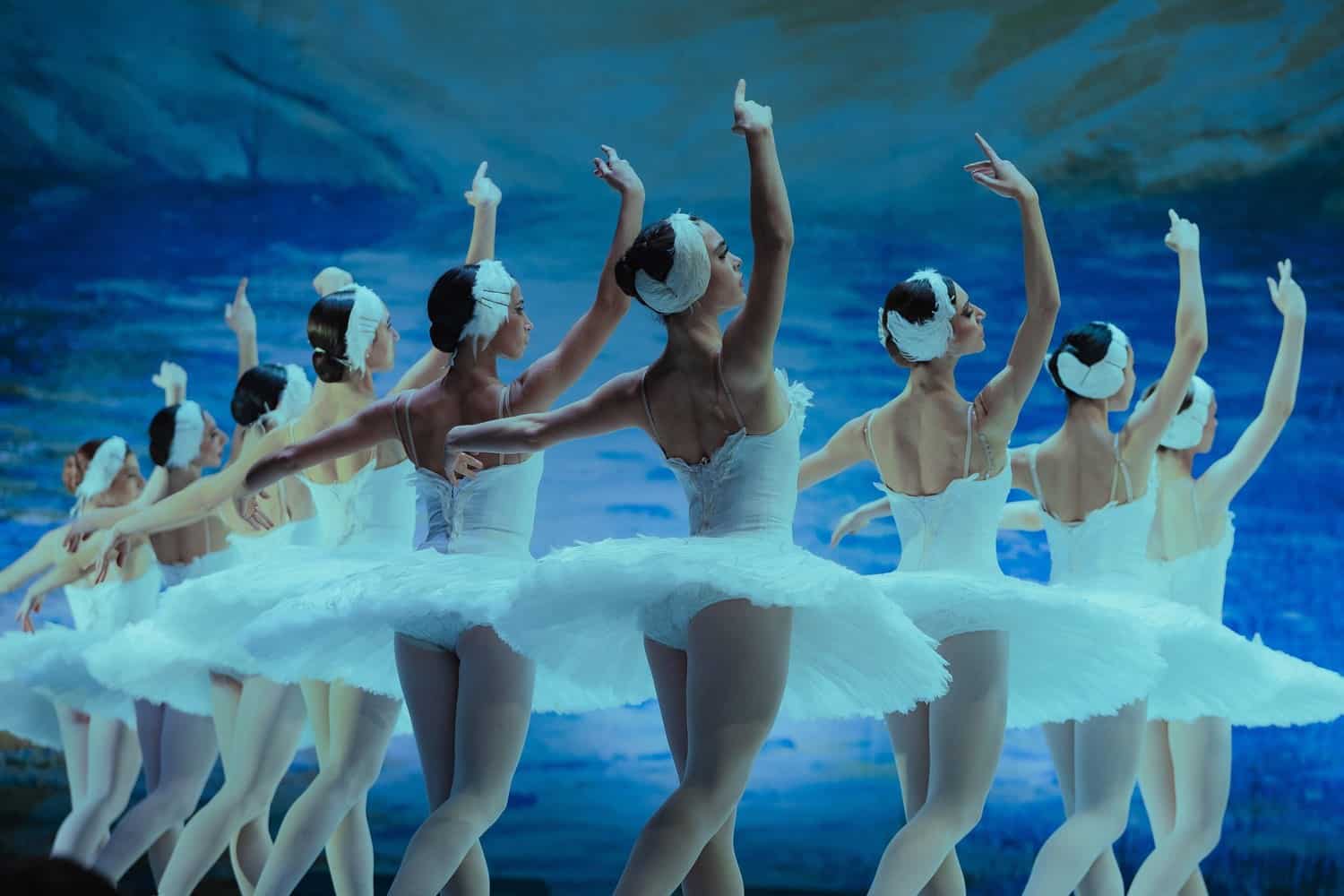 Schwäne des Grand Classic Ballet in weißen Tutus und Federhauben, von hinten gesehen mit erhobenen Armen vor blauem Bühnenhintergrund